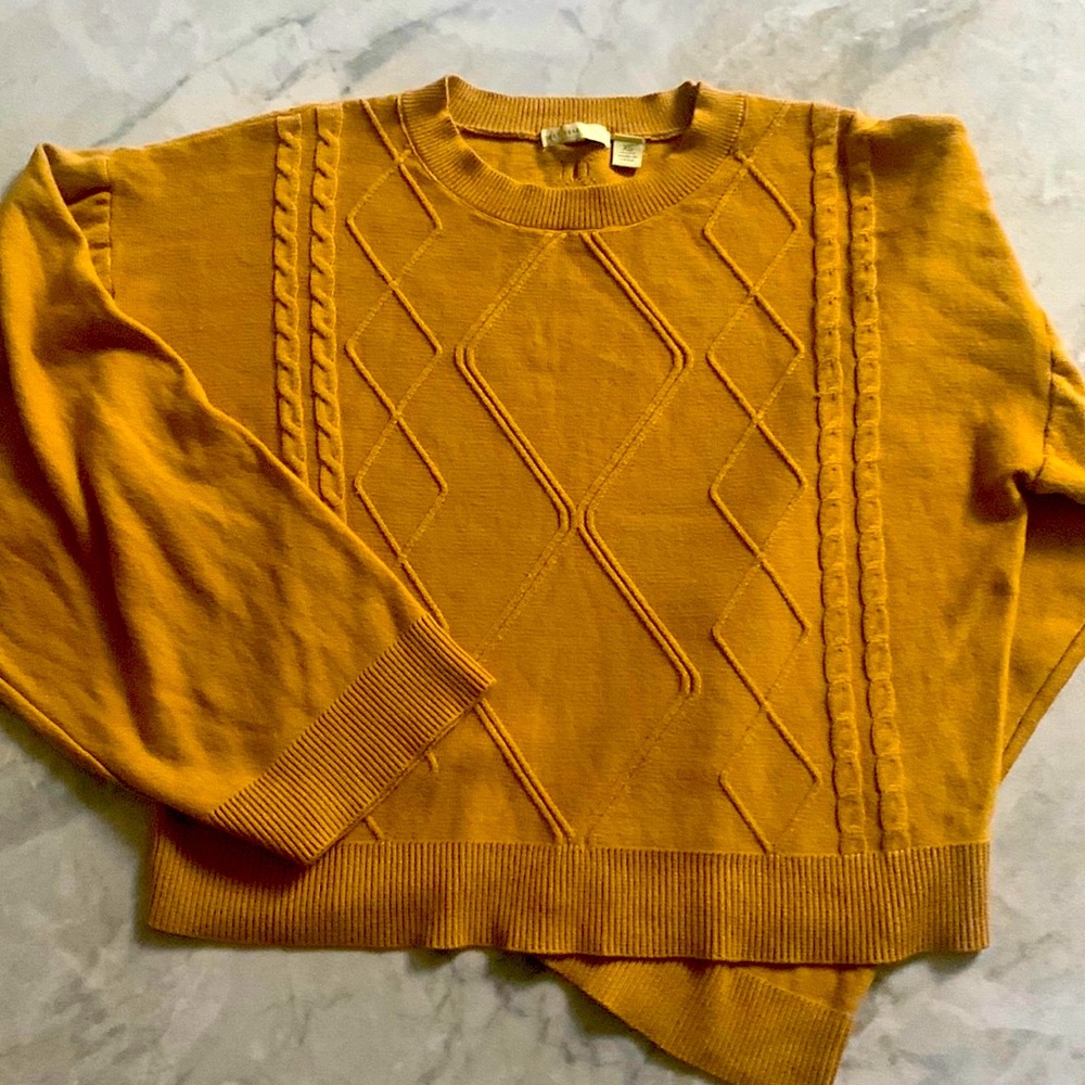 Camel colored crop sweater with wide sleeves and braided knit detailing.